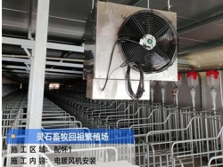 養豬廠不銹鋼暖風機